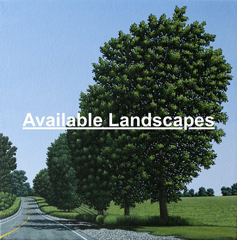 Available Landscapes