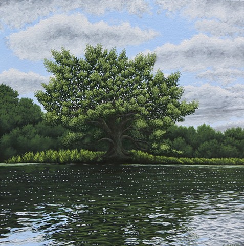 Christina Preece Canadian landscape artist art Grand River