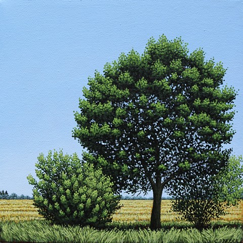 Christina Preece female Landscape artist Painting Canadian Art