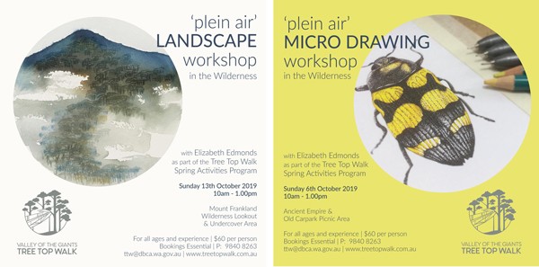 plein air, workshops, landscape, wilderness, australia, micro drawing, drawing, watercolour, watercolour painting