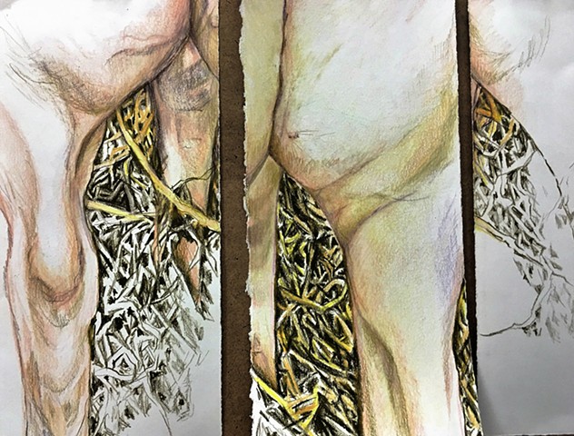 Colored Pencil Triptych Drawing on Paper