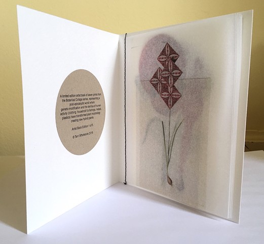 "Botanical Collages" Artist Book 