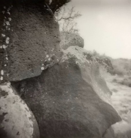 Shot on a 35mm Pentax film camera