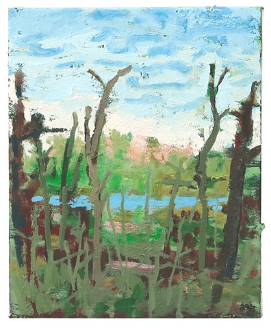 Butter Sky Over The Marsh