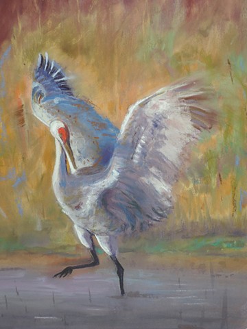 These magnificent birds rely on wetlands to survive. Adequate habitat is essential to the survival of animals. There are several organizations that support cranes including The International Crane Foundation, www.savingcranes.org