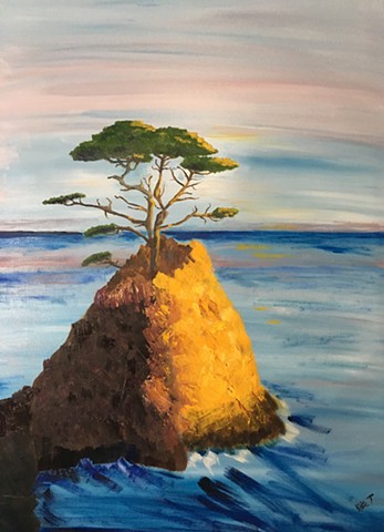 cypress tree alone on cliff over ocean, made golden in afternoon light