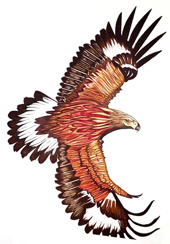 Golden eagle, raptors, birds of prey, drawing, eagle in flight, bird artwork, wildlife artwork