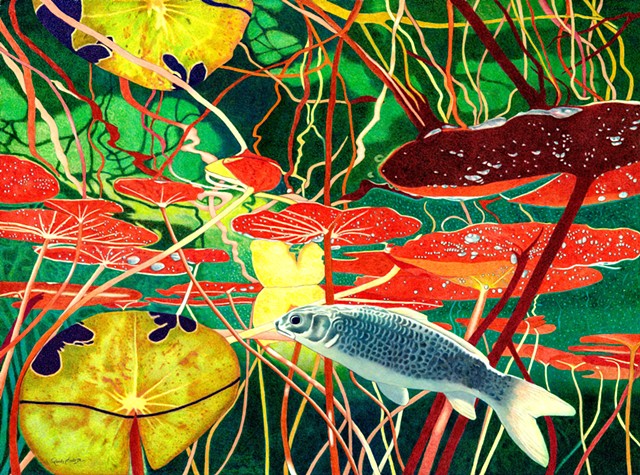 Koi Fish, Underwater, Lily Pads, Water, Reflections,Colorful , Colored Pencils