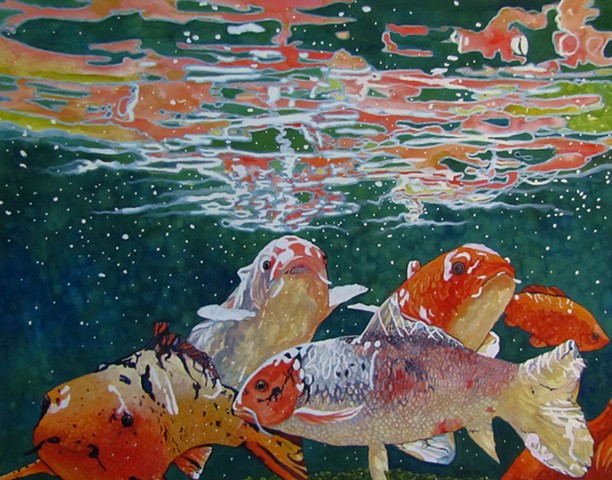 Koi Fish, Underwater, Lily Pads, Water, Reflections,Colorful