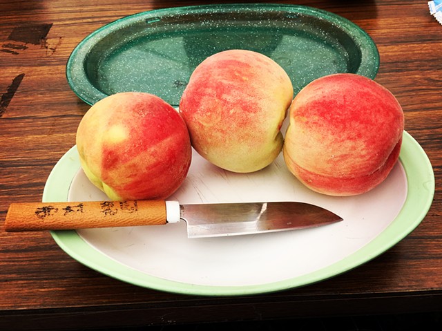 Peach Picking, Kaleidoscope Making and Shirayuri Winery Tour in Japan
