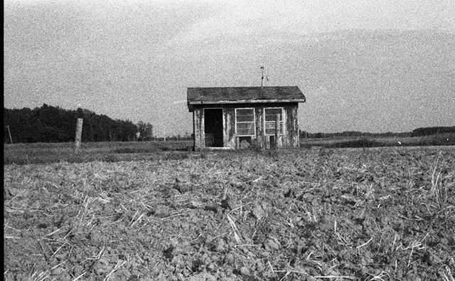 River Echo (Mississippi Delta)