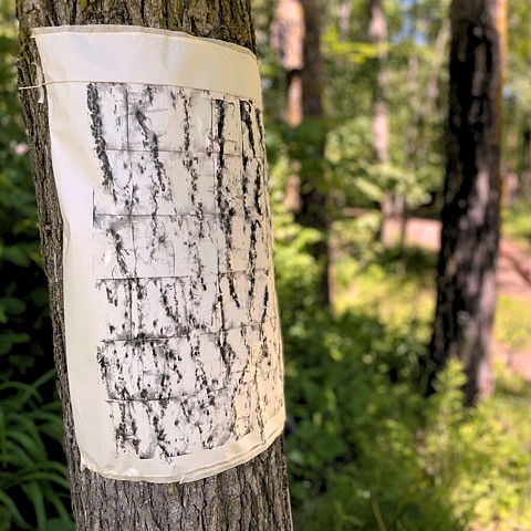 Tree portraits