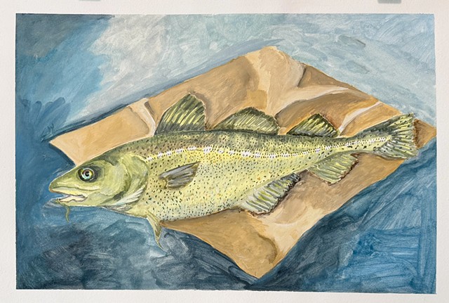 Study of Atlantic Cod