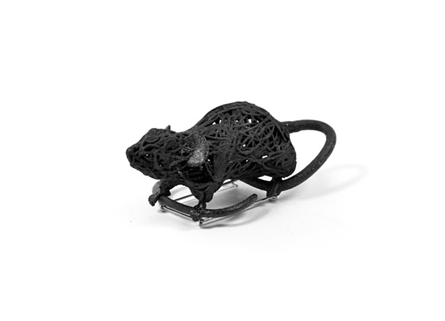 Tangled Up: Black Mouse