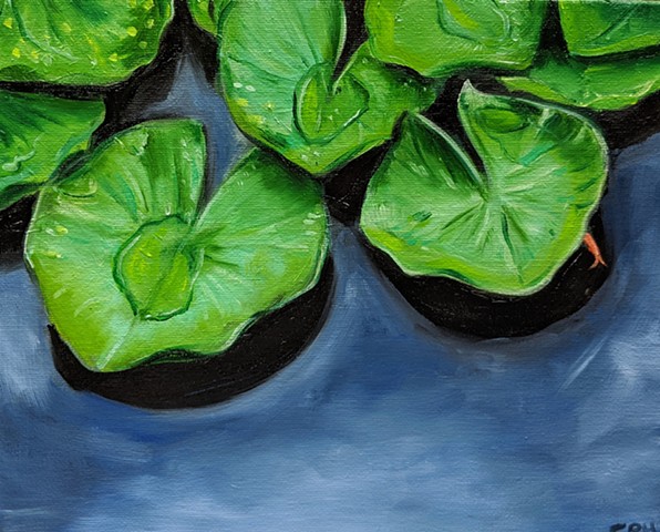"Lily Pads"