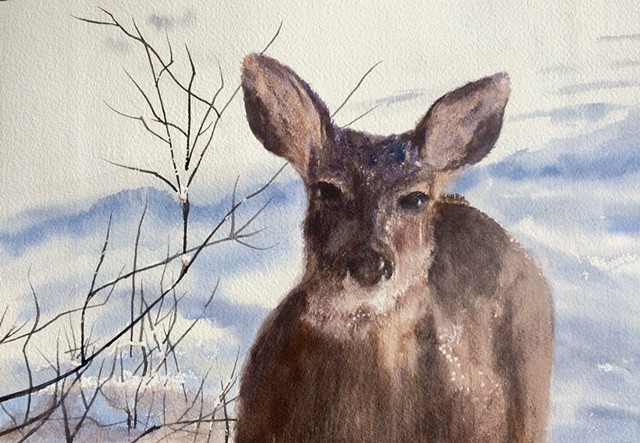 Kathy Ford