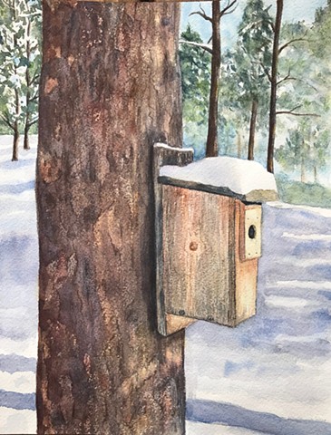 Birdhouse in the Woods