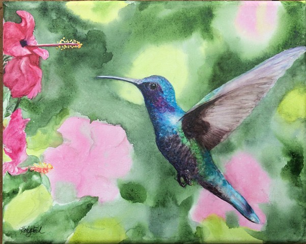 Watercolor Paintings