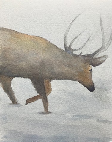 Deer in the Mist