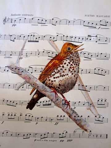 Solitary Note