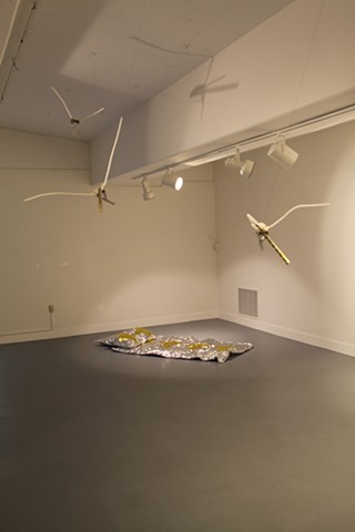 Paths for Flight air and earth, Installation View