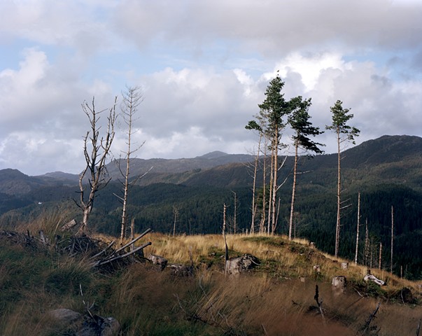 Worried Landscapes 2012-