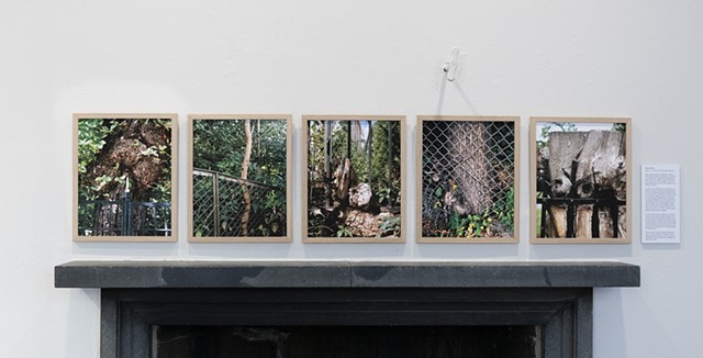 Trondhjems Kunstforening 2026