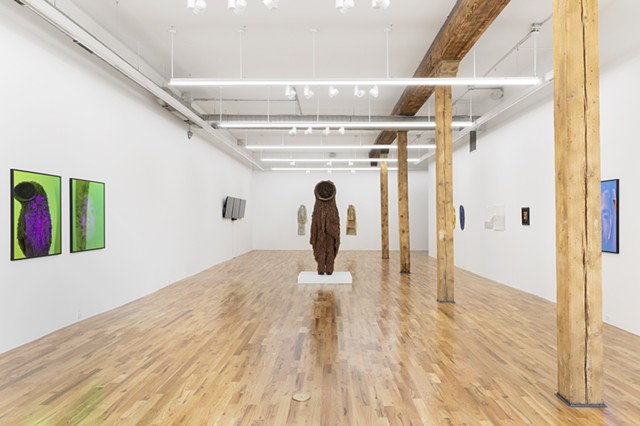 The Way the Mystic Sees, Gallery View