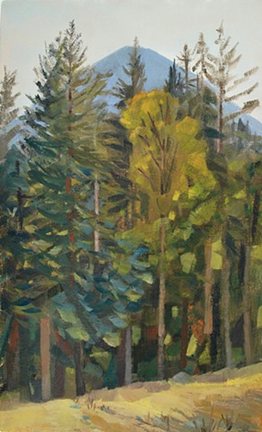 Tall pine trees and butte with blues and greens and golden colors