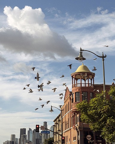 Louis Jacinto, Fine Art Photography, Diane Cockerill, Street Photography