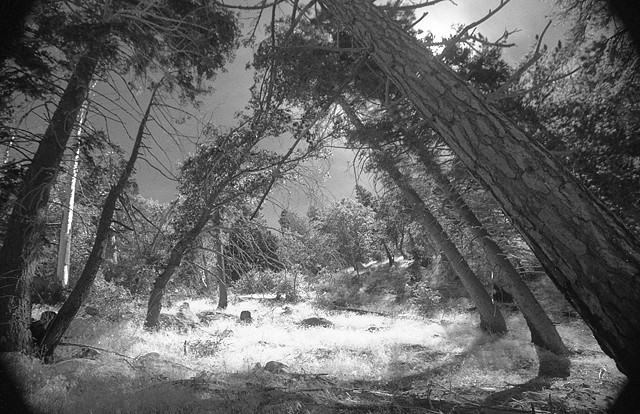 Louis Jacinto, Fine Art Photography, Los Angeles, Alan Marx