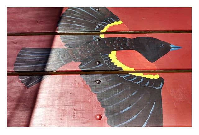 Painting of a red winged blackbird on a picnic table for the City of Iowa City by artist Katlynne Hummell Underhill