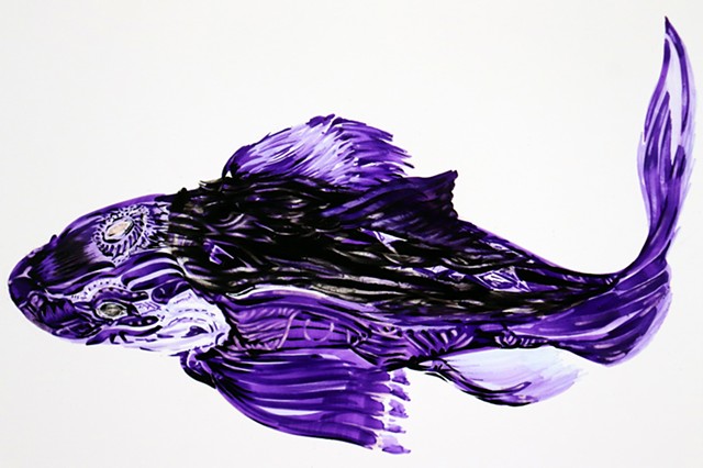 Purple koi fish