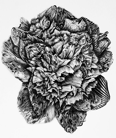 Peonie