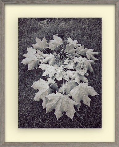 Wind Fall