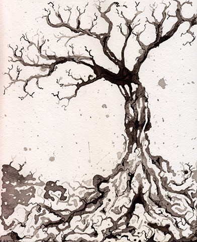 Solum II (Tree Studies)