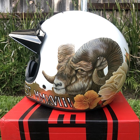 Excelsior helmet