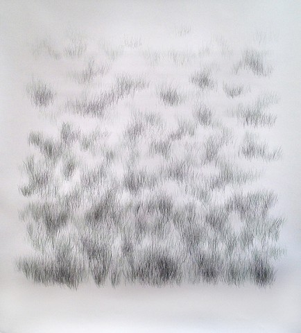 Joanne Aono, Home Fields, drawing, Green Fields Tract
