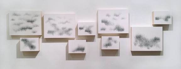 Joanne Aono, Home Fields, drawing, installation