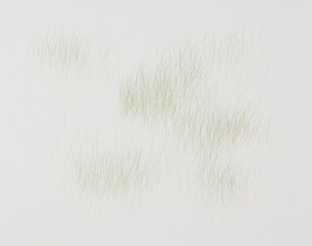 Joanne Aono, Green Fields, drawing, Issei