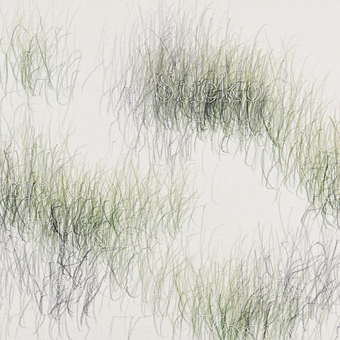 Joanne Aono, Green Fields, drawing