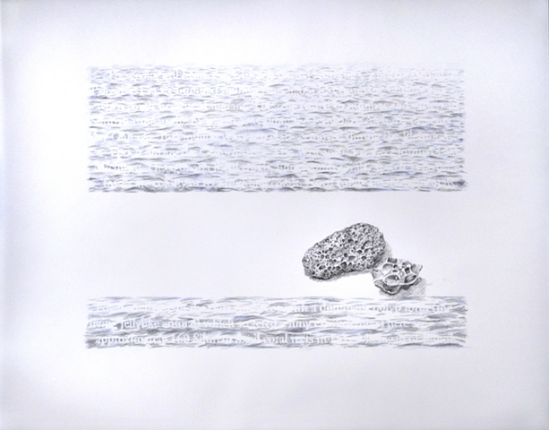 Joanne Aono Lake Michigan fossil coral drawing