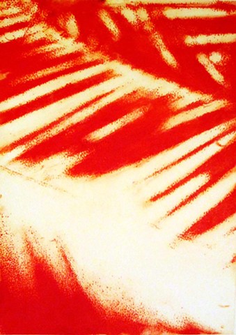 tropical red palm leaf shadow