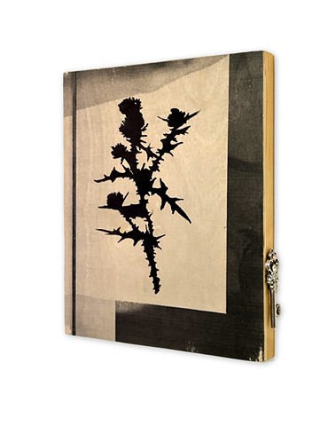 Milk Thistle (No.5)