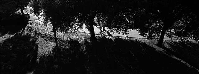Trees+Shadows, Lucca, Italy, 2003