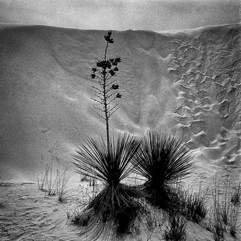 White Sands, New Mexico, 1994