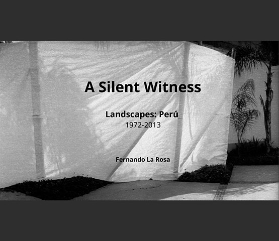 A Silent Witness: Landscapes Peru 1971-2013 Fernando La Rosa