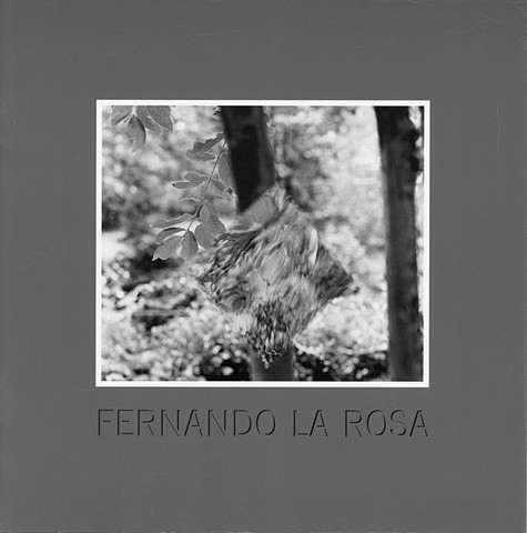 Neither Windows nor Mirrors: Fernando La Rosa