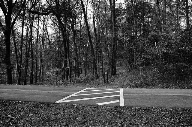 Road Macon, Georgia, 2010