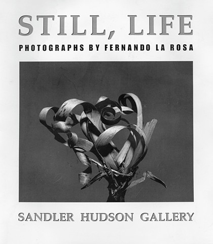 Still, Life: Photographs by Fernando La Rosa